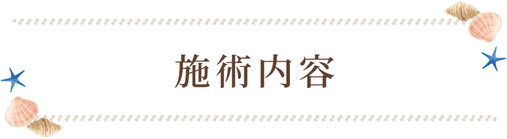 施術内容